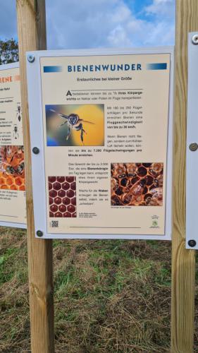 KakiVGel_20230922_160738a