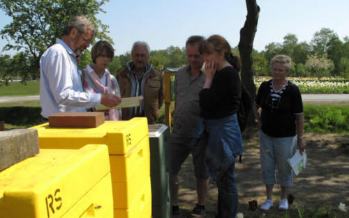 landesgartenschau-2011-03